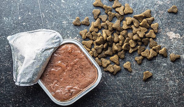 Nourriture pour chien : croquettes ou pâtée ? Le comparatif définitif