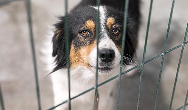 refuge Bourgogne-Franche-Comté