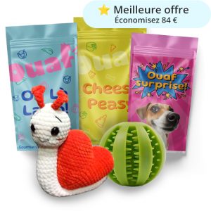 OuafBox | Abonnement 12 mois