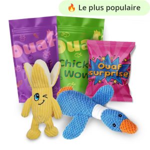 OuafBox | Abonnement 6 mois