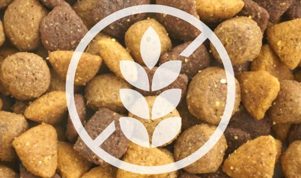 Croquettes sans céréales pour chien : bonne ou mauvaise idée ?