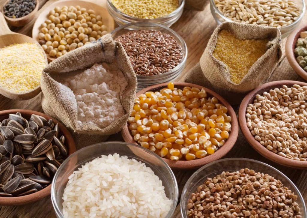 Céréales chien : les chiens en ont-ils besoin ?